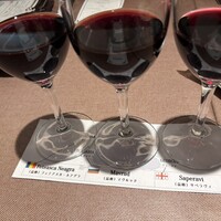 Russian Restaurant ROGOVSKI 銀座 - 