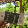 休耕庵 竹の庭の茶席
