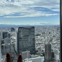 肉割烹 五条 新宿野村ビル49F - 