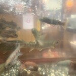 郷土料理ともん - 