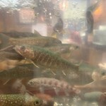 郷土料理ともん - 