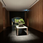 ブルガリ バー - 