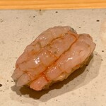 すしやのたい悟 - 甘海老さんでーす。