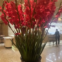 フレンチレストランロジェ - 