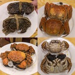 上海朱家角生煎包 - 