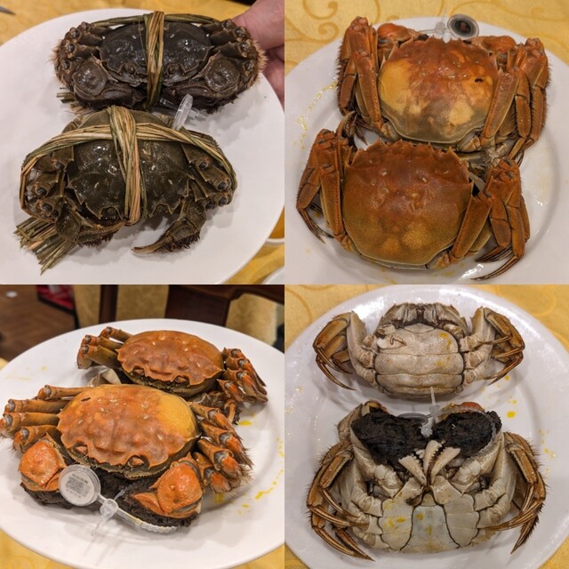 Shanghai Shukakaku Sanchienbo photo 2