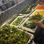 チロンボ・マリーナ - 