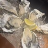 新宿 牡蠣スター