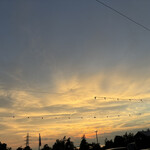 農家レストラン サンセットウォーカーヒル - 