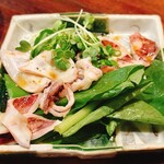 일식야 키쿠오 - 水イカさっと炙り