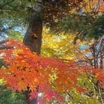 크레프리 앙제리나 가루이자와 혼텐