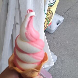 いちごBonBonBERRY_0