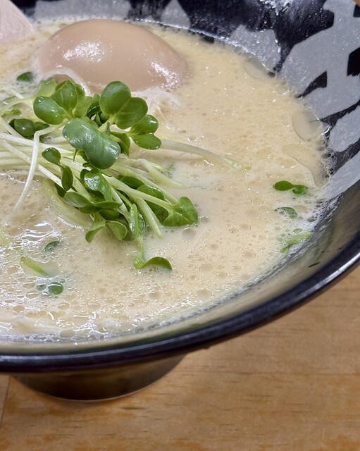 Toripaitan Ramen Bokkoshi photo 2