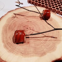 ブレストンコート ユカワタン - 