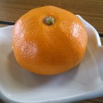 汐風 - 「汐風ミニ会席」（１０００円）のみかんです。
