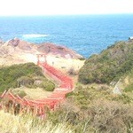 汐風 - 店近くの神社にある連続した鳥居です。
