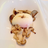 アルカナ 東京 - 大山鶏胸肉とイタリア産生ハムプロシュートの挟み焼き
                  旬のキノコのフリカッセと温度卵　“ソース　エシャロット　ヴィネグル”　香草風味
