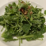 日晴堂 - パクチーサラダ