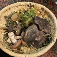 日本料理 新茶家 - 