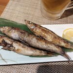 遊食彩 KONISHI - 