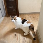 books to curry 猫のしっぽ - 