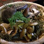 日本料理 新茶家 - 