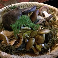 日本料理 新茶家 - 