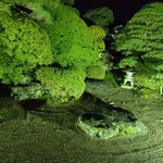 日本料理 新茶家 - 