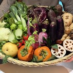 レフェルヴェソンス - 