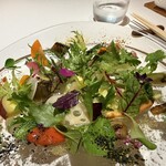 レフェルヴェソンス - 