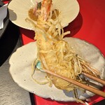 感化 ヌーベルシノワ - 