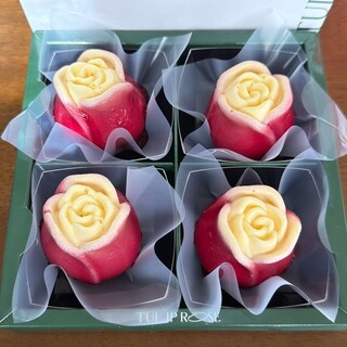 TOKYOチューリップローズ_0