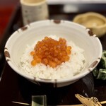 割烹 新多久 - はらこ飯