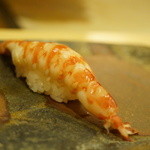 鮨 いとう - 車海老