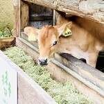 森林ノ牧場 那須 - 