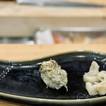 こい勢 - ヨシガニ