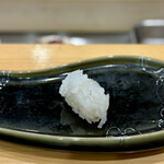 こい勢 - アオリイカ