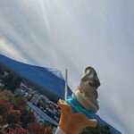 ハーブ庭園旅日記 富士河口湖庭園 園内ショップ - 富士山ソフト550円