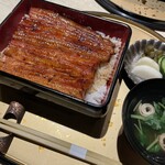 うなぎ 目白ぞろ芽 - 