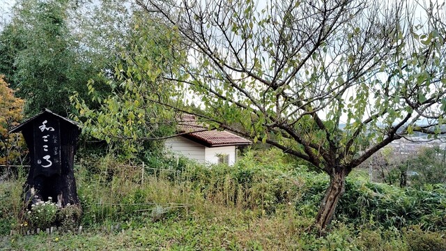 和ごころ - 松川（カフェ）の写真