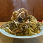 長崎ちゃんぽん・皿うどん 球磨 - 高菜漬けなので　見た目は地味だが　なかなか旨し
