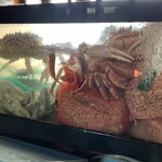 北のランプ亭 - 