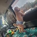 ハーブ庭園旅日記 富士河口湖庭園 園内ショップ - 楽しい車中泊