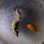 ブレストンコート ユカワタン - 