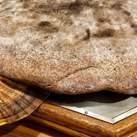 横浜瀬里奈 ステーキドーム - 