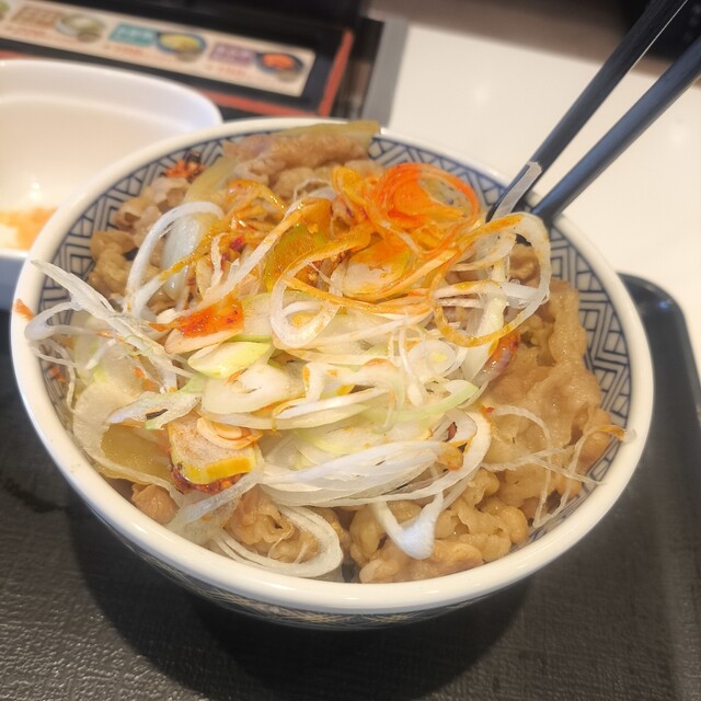 Yoshinoya Fushimidori Nishiki Ten photo 2