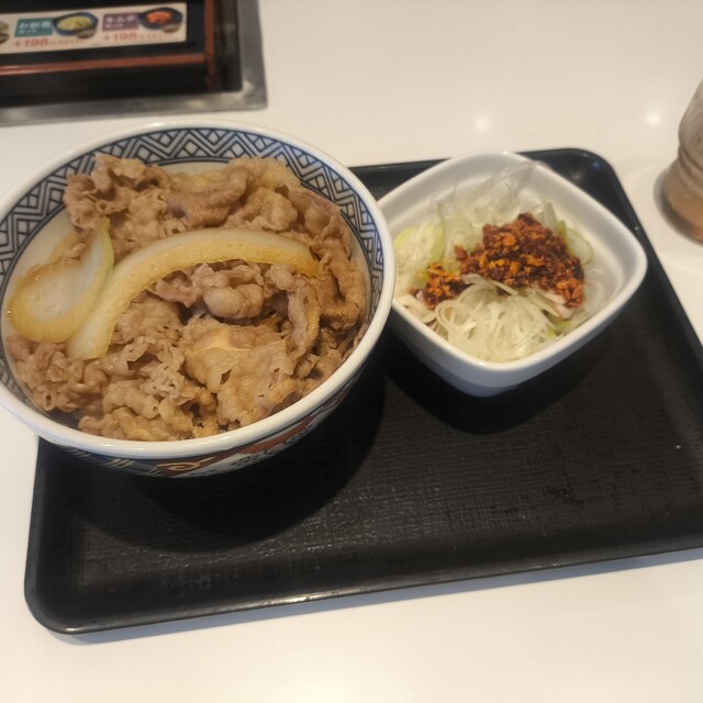 Yoshinoya Fushimidori Nishiki Ten photo 3