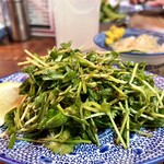 鉄鍋餃子 餃子の山崎 麻辣湯 - 