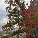 篠栗珈琲焙煎所 - 