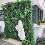 マリブファーム  - 